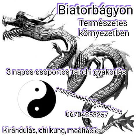 2019.06.21_tai_chi_tabor_szorolap.jpg