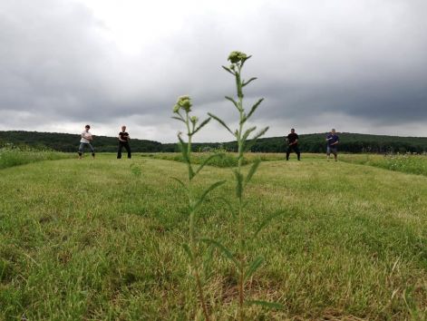 2019.tai_chi_kep7.jpg