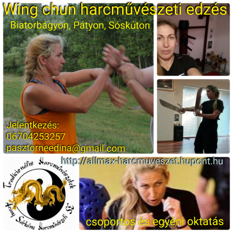 collage2017_wing_chun.jpg