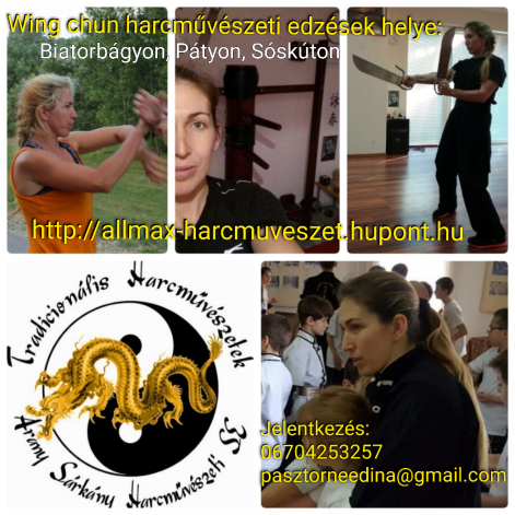 collage2017_wing_chun2.jpg
