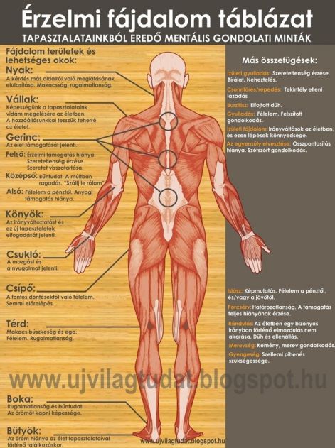 erzelmi_fajdalom_tablazat_anatomia.jpg