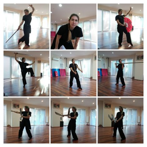 img_20161228_125300-collage.jpg