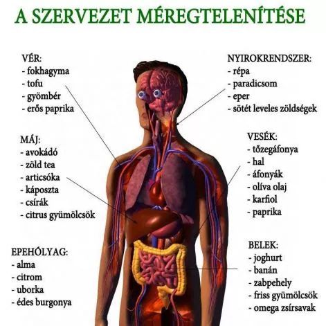 test_meregtelenitese_kepen.jpg